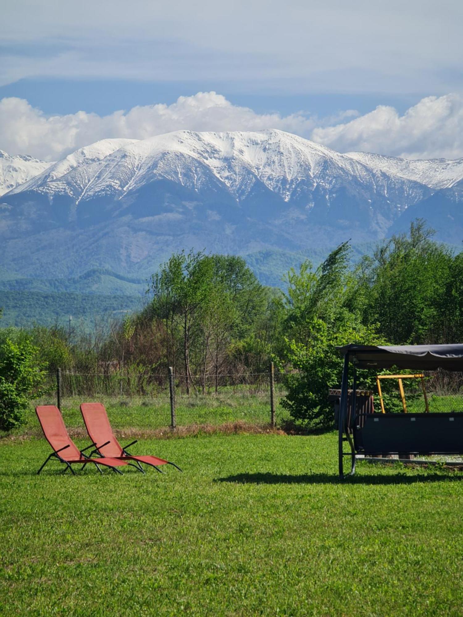 Casute In Mijlocul Naturii - Wild Camp Avrig Exterior photo